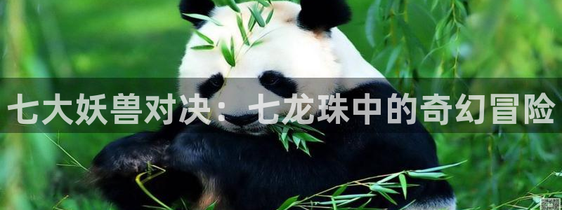 包子漫画阅读页面免费漫画观看